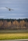 Reims F172N Skyhawk 100