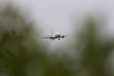 Boeing 737-31S