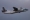 Antonov An-26B