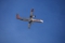 ATR ATR-72-202