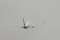 Boeing 737-8AS