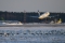 Embraer 170STD (ERJ-170-100STD)