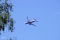 Boeing 737-8AS