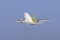 Boeing 737-505