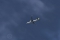 Boeing 757-256