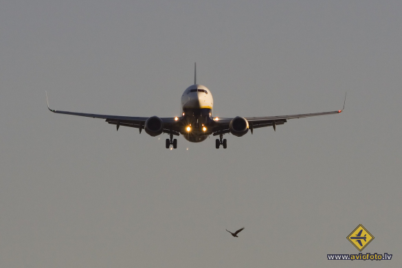 Boeing 737-8AS