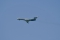 Tupolev Tu-134A-3