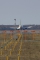 Boeing 737-53S