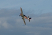 Yakovlev Yak-52