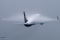 Boeing 737-8AS