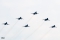 Sukhoi Su-22M4