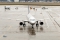 Airbus A320-214