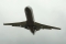 Bombardier Challenger 850 (CRJ-200SE/CL-600-2B19)