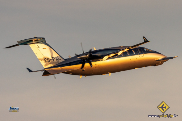 Piaggio P-180 Avanti Evo