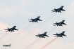 Mikoyan-Gurevich MiG-29UB (9-51)