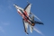 General Dynamics (Fokker) F-16AM Fighting Falcon