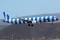 Airbus A321-211
