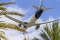 Airbus A320-214