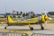 Yakovlev (Aerostar) Yak-52TW