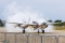 Lockheed P-38L Lightning
