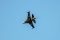 General Dynamics (TUSAS) F-16C Fighting Falcon (401)