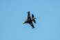 General Dynamics (TUSAS) F-16C Fighting Falcon (401)