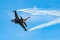 General Dynamics (TUSAS) F-16C Fighting Falcon (401)