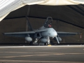 McDonnell Douglas EF-18M Hornet