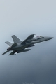 McDonnell Douglas F-18C Hornet