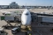 Boeing 747-830