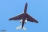 Gulfstream Aerospace G-1159A Gulfstream III (27) (autors: Jorsh)