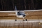 Tecnam P-2008 JC