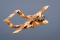 North American Rockwell OV-10B Bronco
